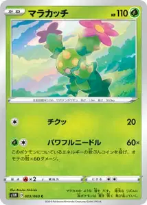 Maracamba (Maractus) – s1w 003/060